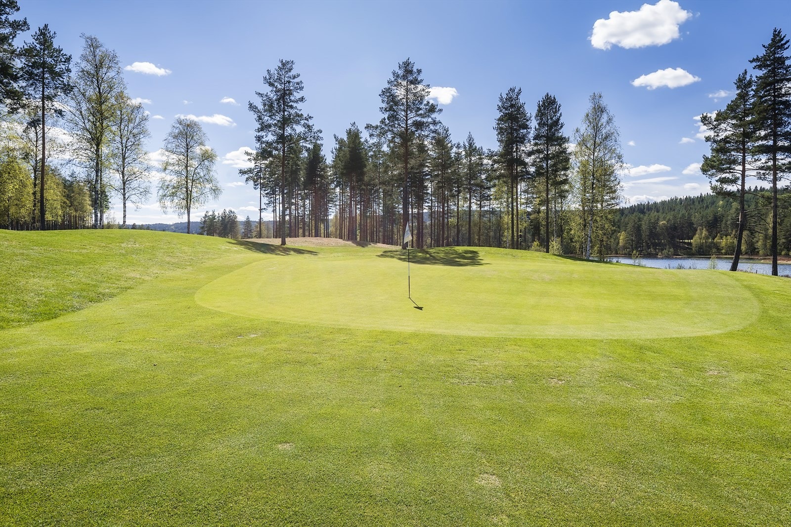 En av Nordens vakreste og beste skogsbaner i helt fantastiske omgivelser! Galleribilde