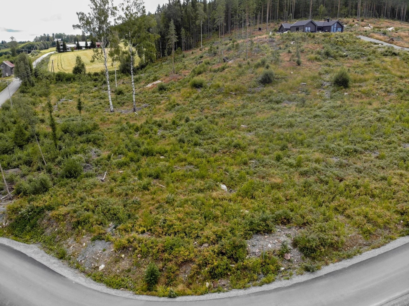 Tomten er beliggende helt nederst i feltet og har en bitteliten spasertur til Lierdammen hvor det er supert å bade! Galleribilde