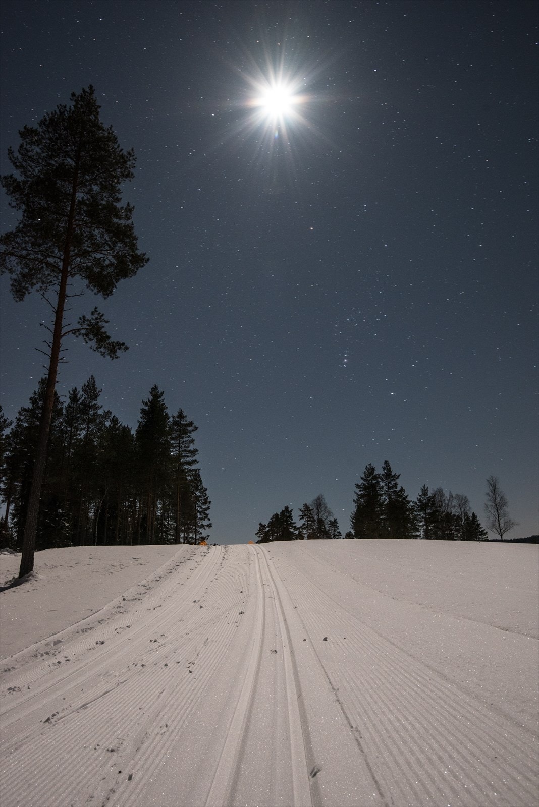 Liermoen tilbyr flotte skiløyper i kunstsnø (og selvsagt vanlig) på vinteren! Galleribilde