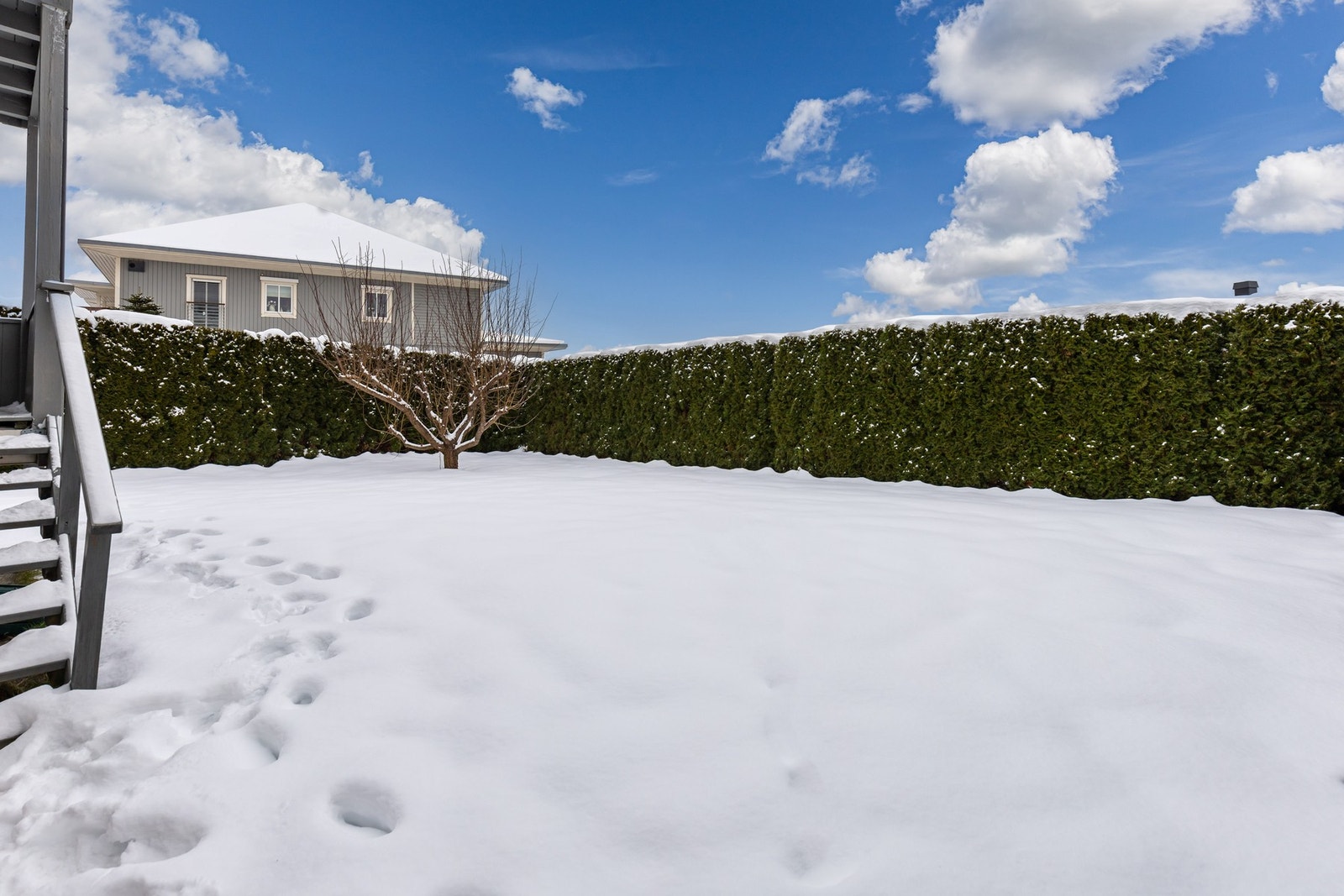 Hagen er iutgangspunktet felles, men beboere bruker sin del av hagen. Galleribilde