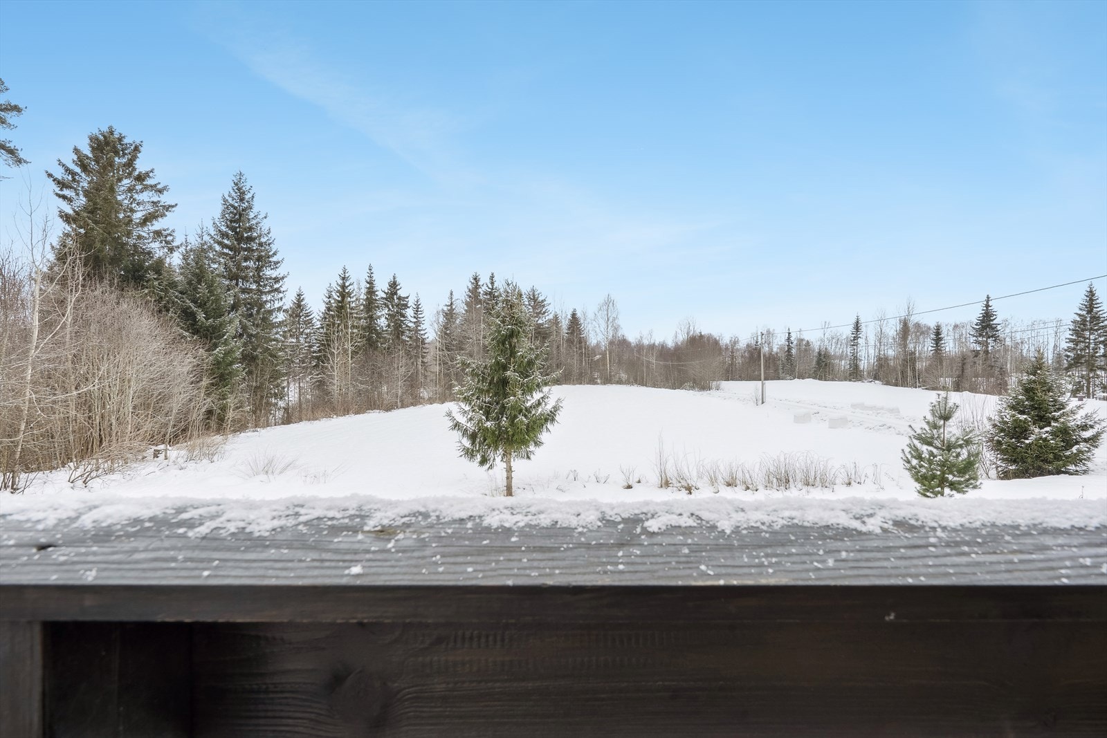 Utsikt fra veranda fremside Galleribilde