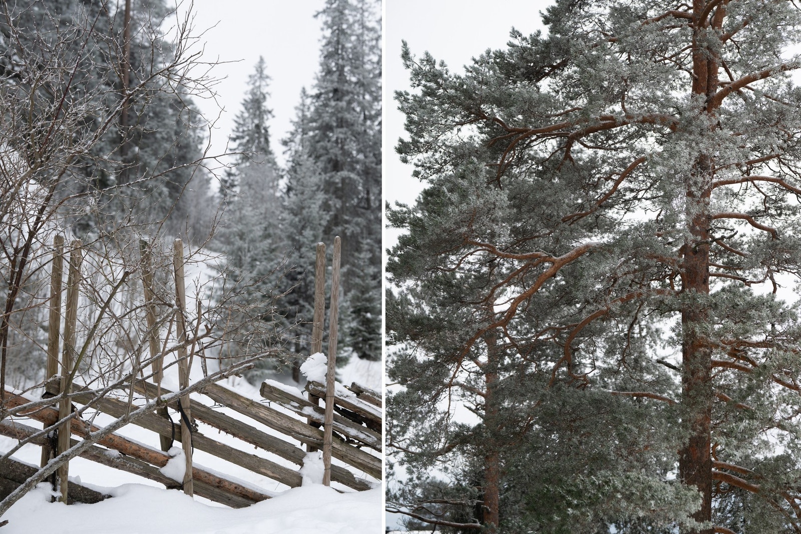 Fra Lillevannsseter er det direkte adkomst til løypenettet ved Tryvannshøgda, med alpinbakker, lysløyper og flotte turmuligheter i Nordmarka. Galleribilde
