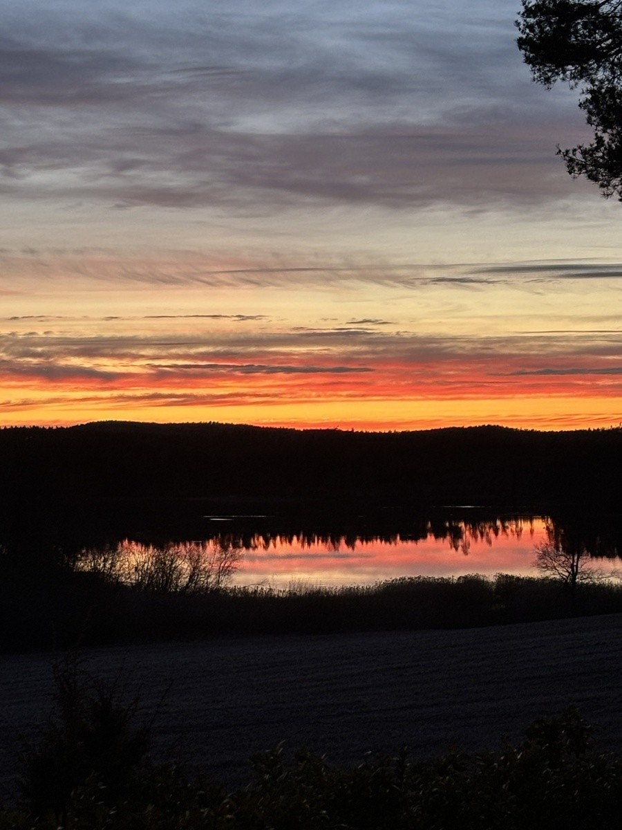 utsikten over Lundeby vannet Galleribilde