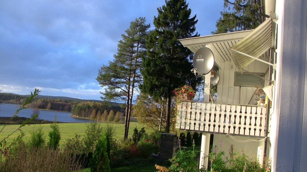 ute arealer Galleribilde