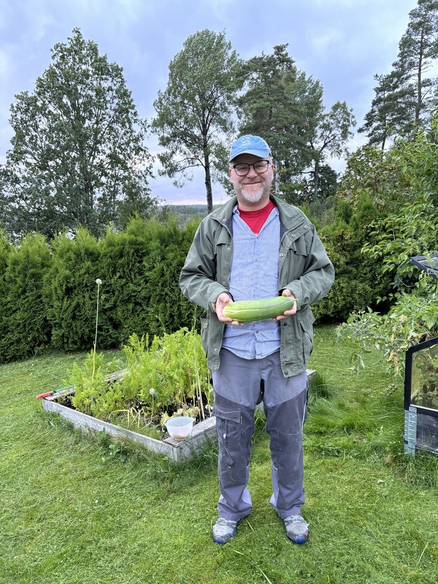 stolt eier som viser frem egen dyrket agurk Galleribilde