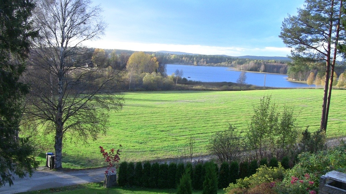 utsikt sommer Galleribilde