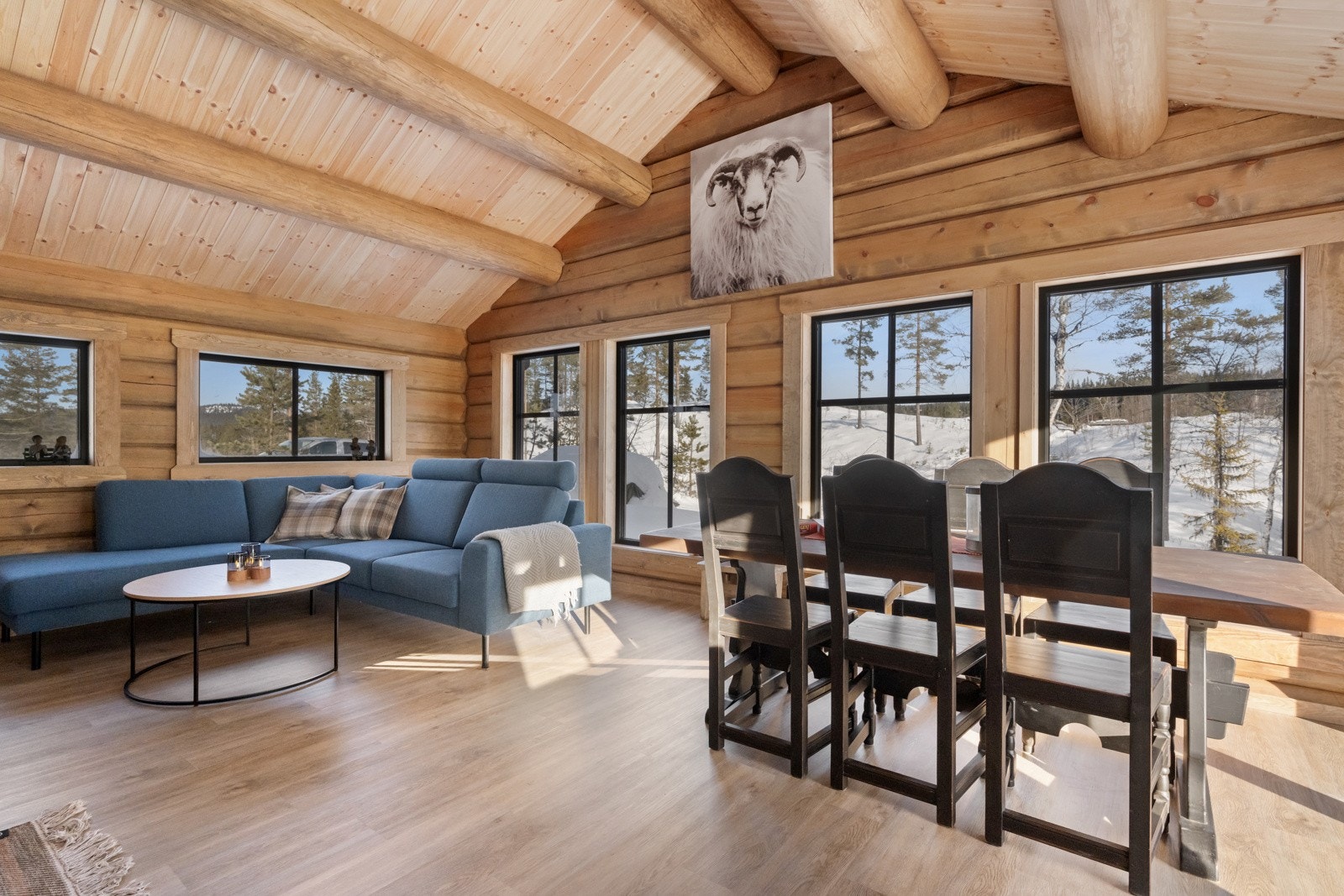 Lun og romslig stue, ideell for både avslapning og hyggelige sammenkomster. Galleribilde