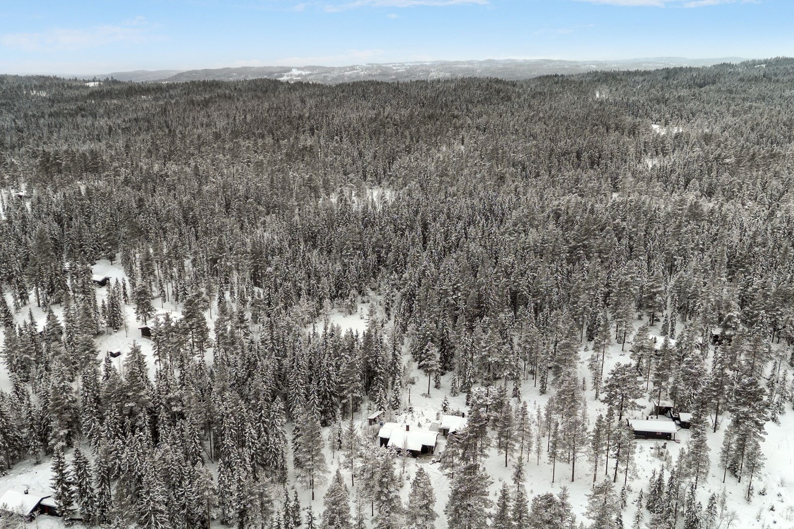Området rundt eiendommen tilbyr fine fiskemuligheter og skogsturer. Galleribilde