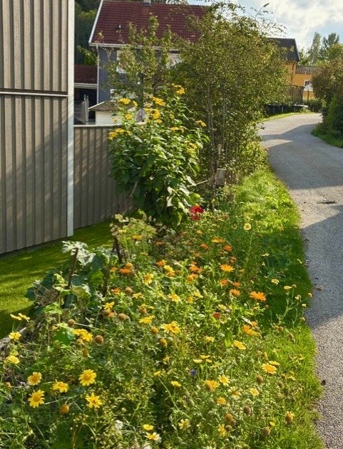 Sommerbilde fra eiendommen (Selgers bilde) Galleribilde