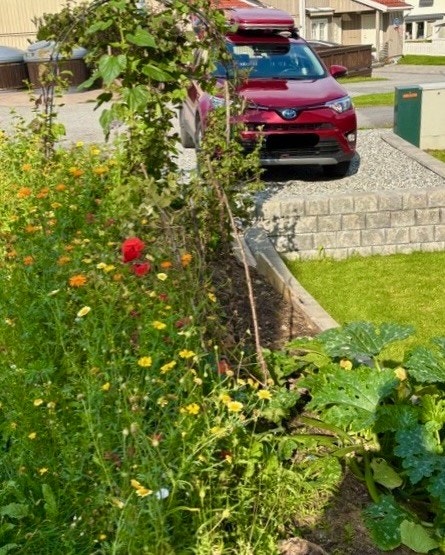 Sommerbilde fra eiendommen (Selgers bilde) - Det er plass til 4 biler på eiendommen Galleribilde