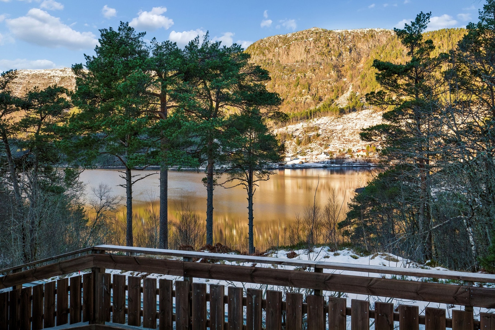 Utsikt mot fjorden Galleribilde