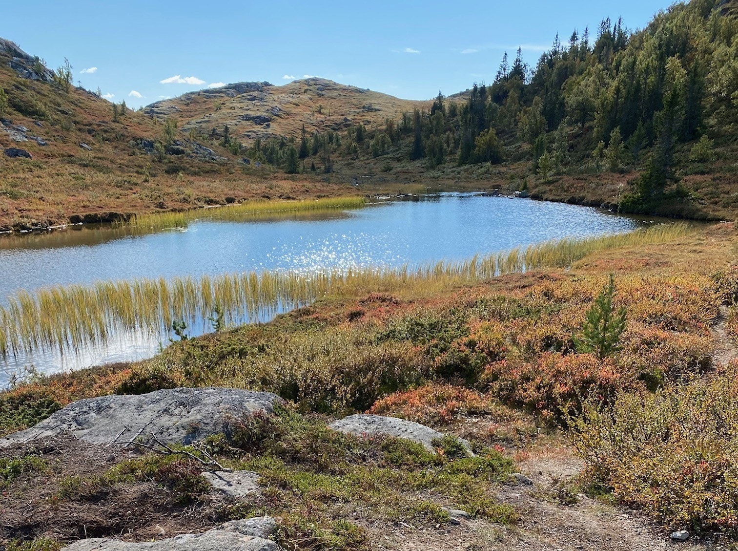 Mange små og store vann i området hvor man kan både fiske og bade Galleribilde
