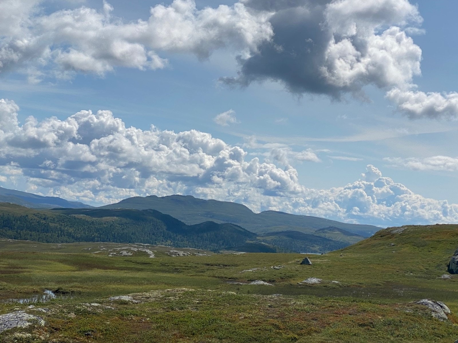 Det åpne terrenget gjør det enkelt å orientere seg Galleribilde