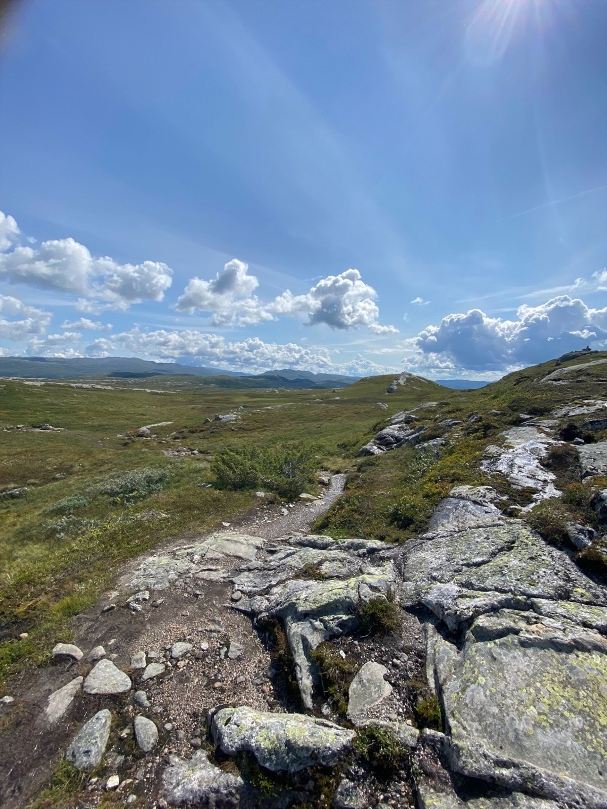 Det er et mangfold av stier i hyttas nærområde som gjør det lett å gå tur for store og små Galleribilde
