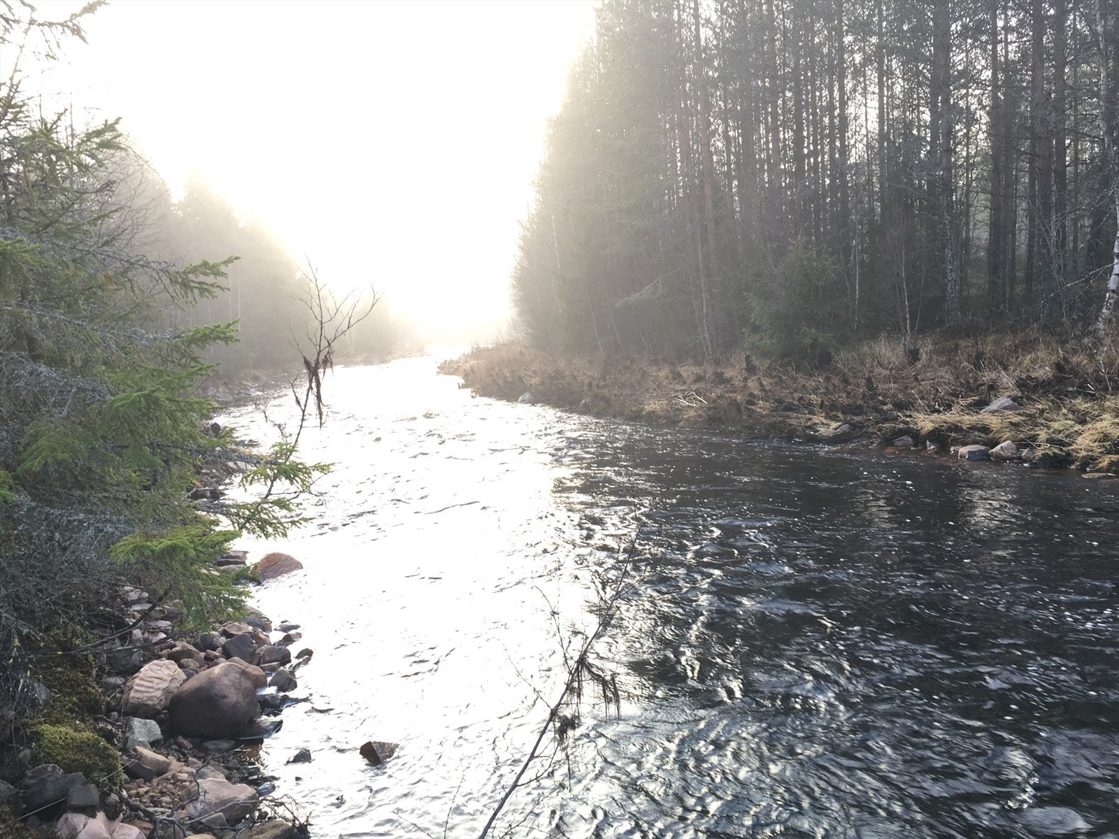 Østre Grøna Galleribilde