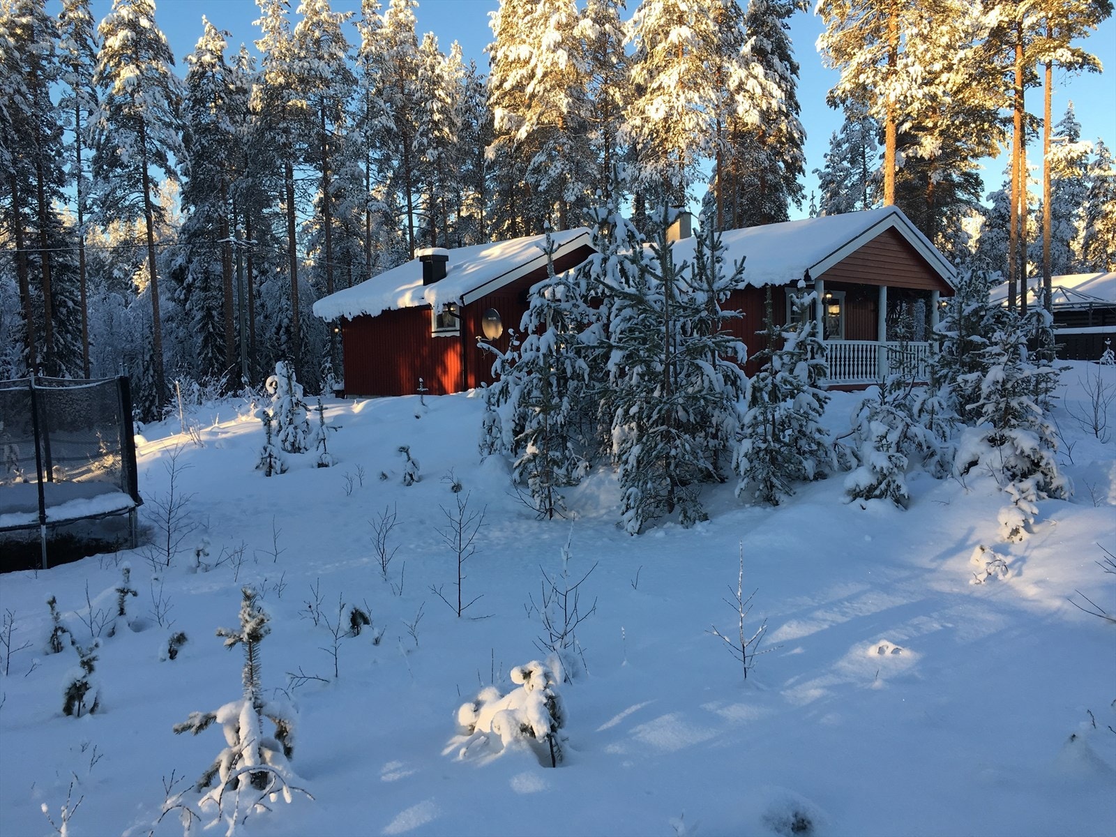 Selgers egne vinterbilder Galleribilde