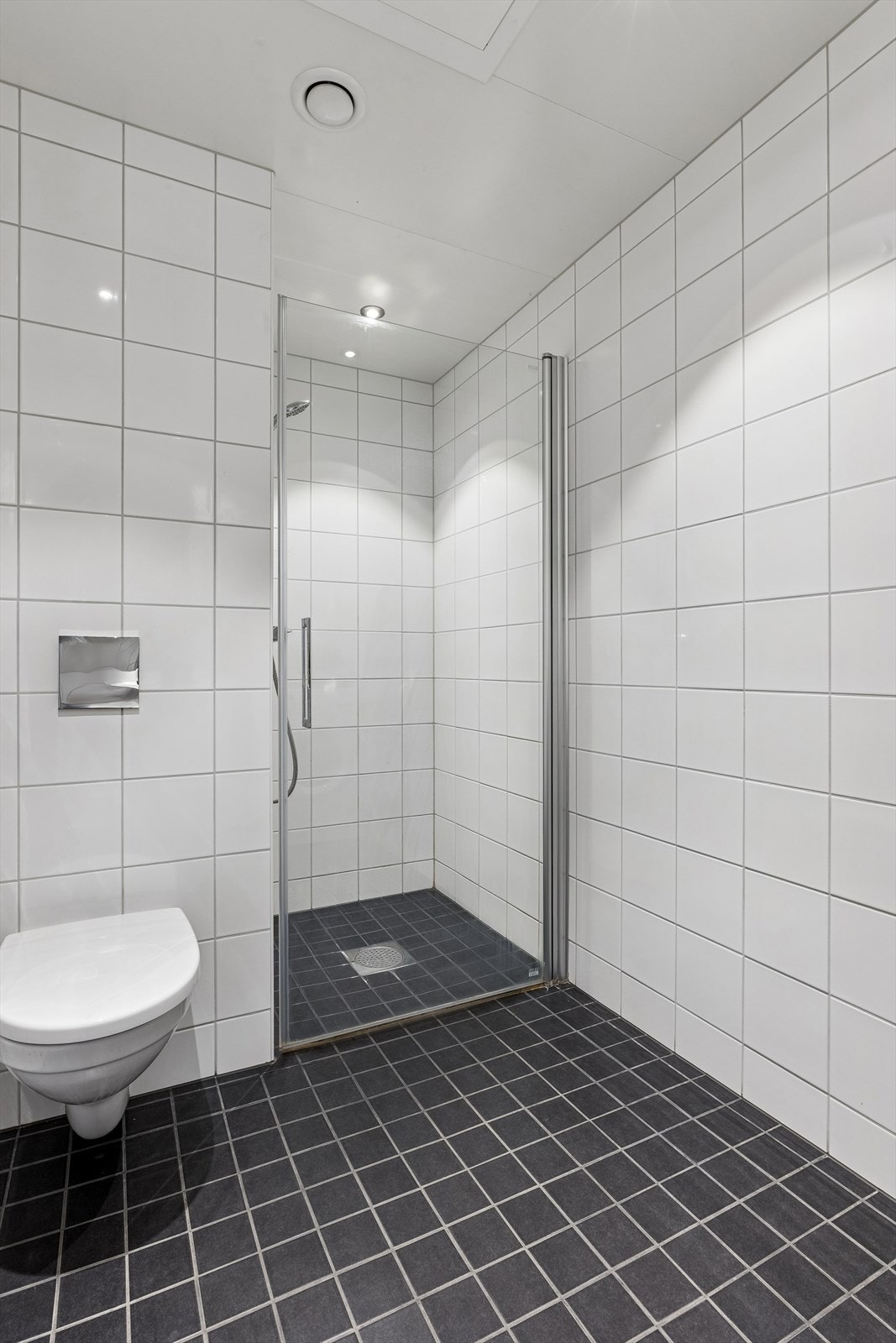 Badet er utstyrt med vegghengt toalett og dusjhjørne med innfellbare glassdører. Galleribilde