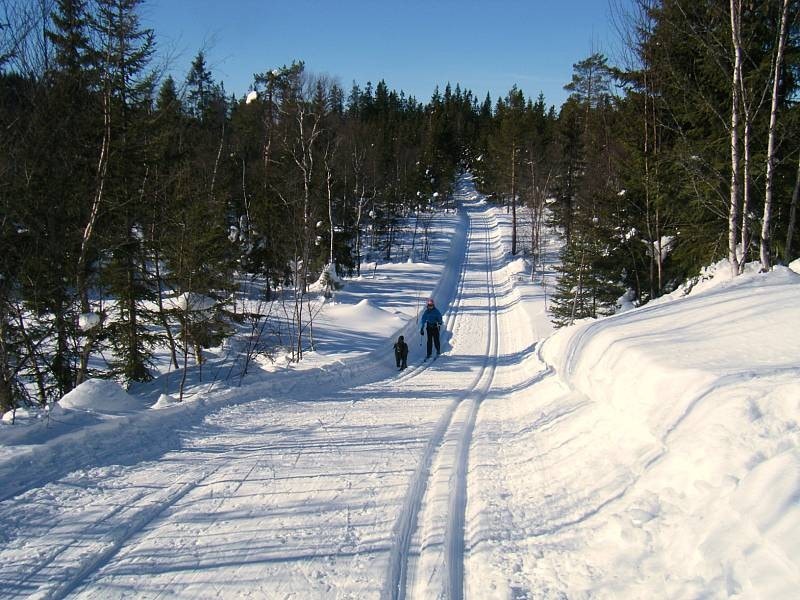 Flotte naturopplevelser både vinter og sommer i Nordmarka og på Romeriksåsen. Galleribilde