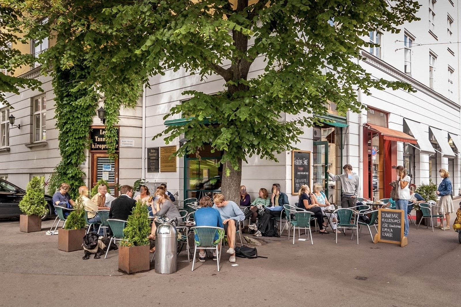 Kaffebrenneriet som nabo i Thereses gate. Galleribilde