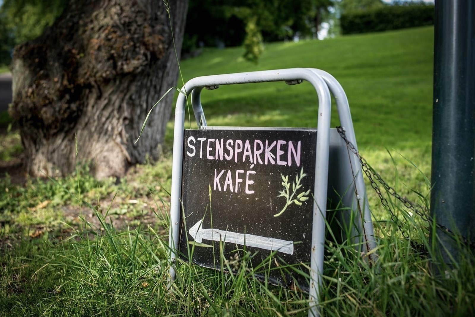 Nærområdet. Galleribilde