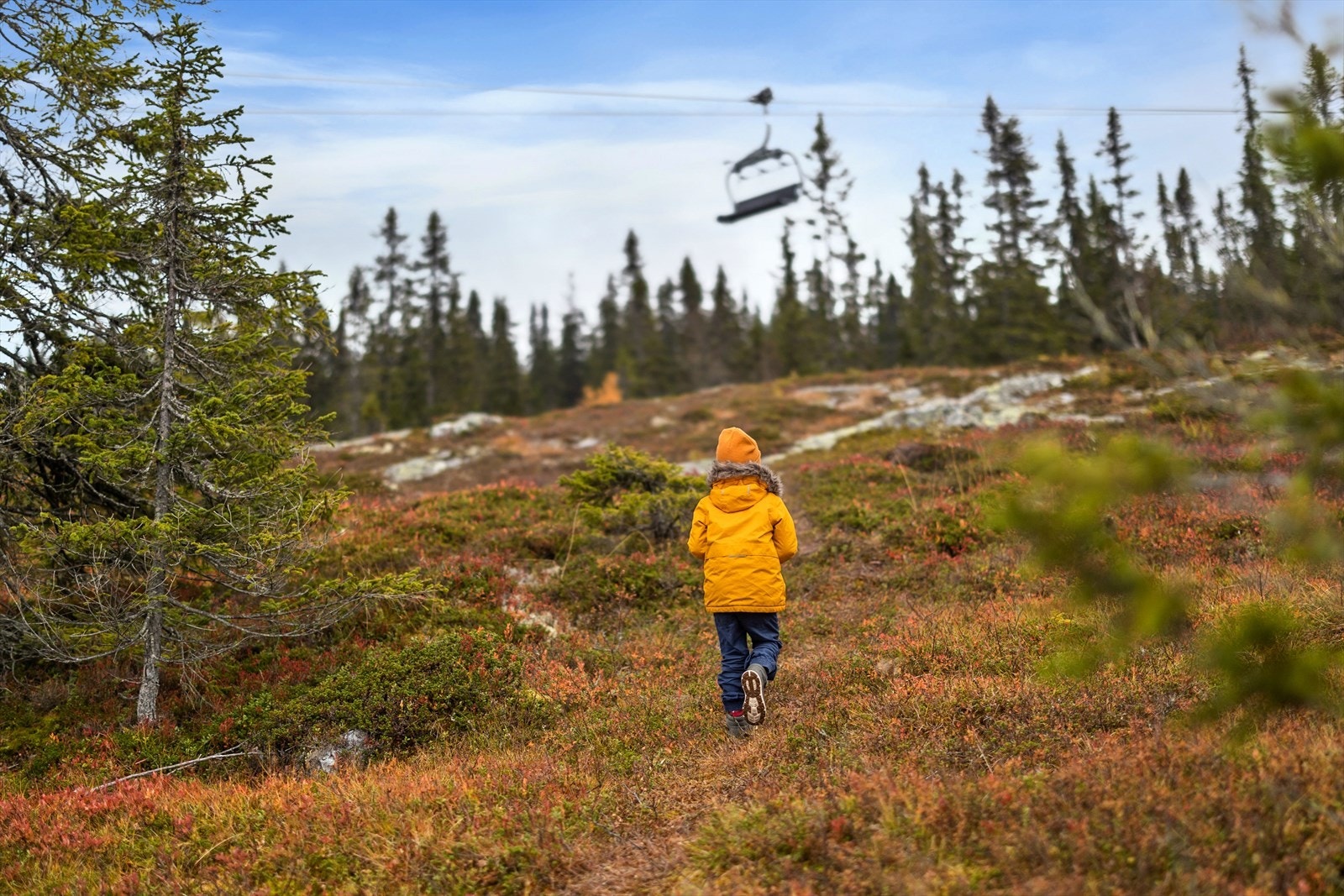 Området byr på umiddelbar nærhet til fine turmuligheter sommer og vinter Galleribilde
