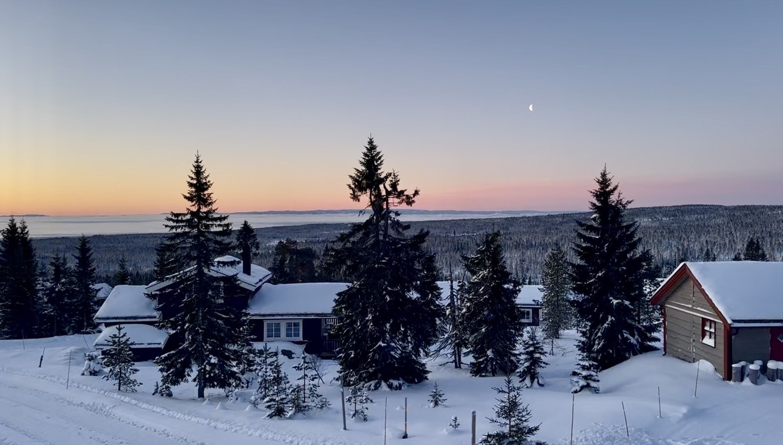 Privat bilde Galleribilde