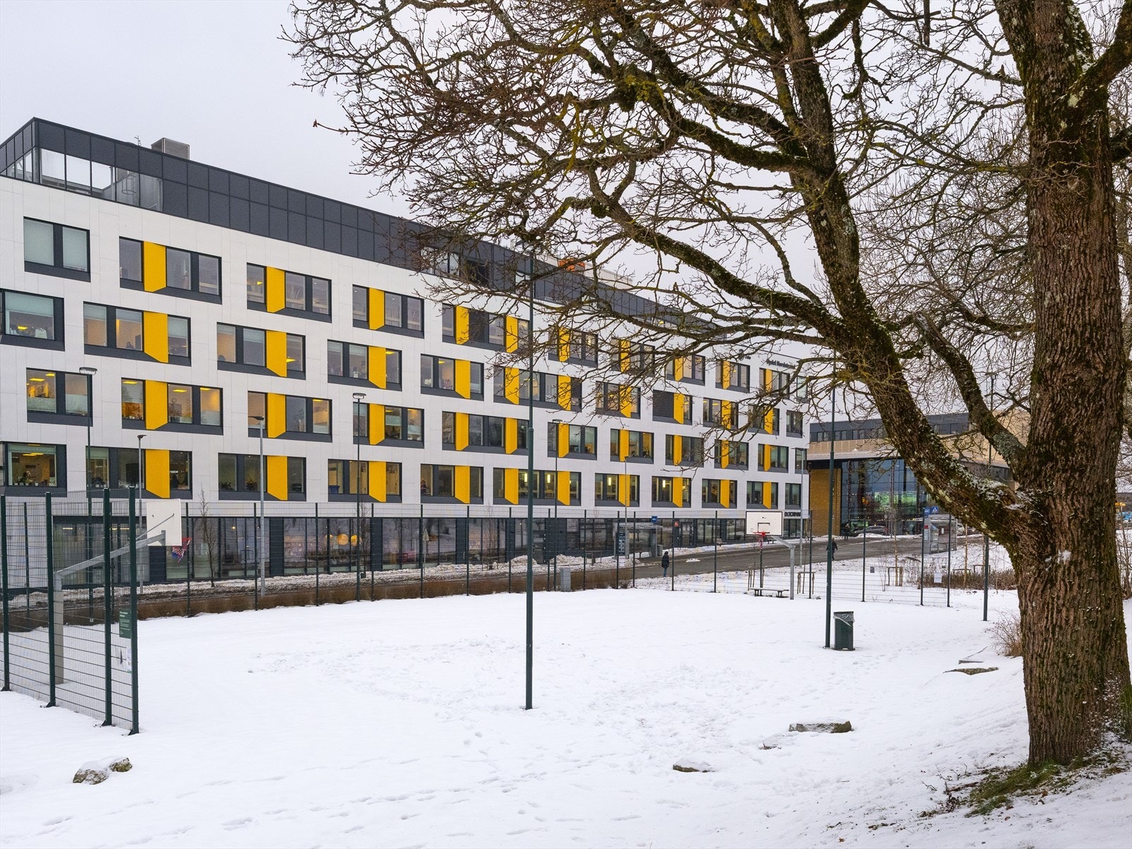 Nabolaget er en blanding av etablert bebyggelse og nyere, moderne arkitektur. Her er bydelshuset som bla har Deichmann bibliotek. Galleribilde