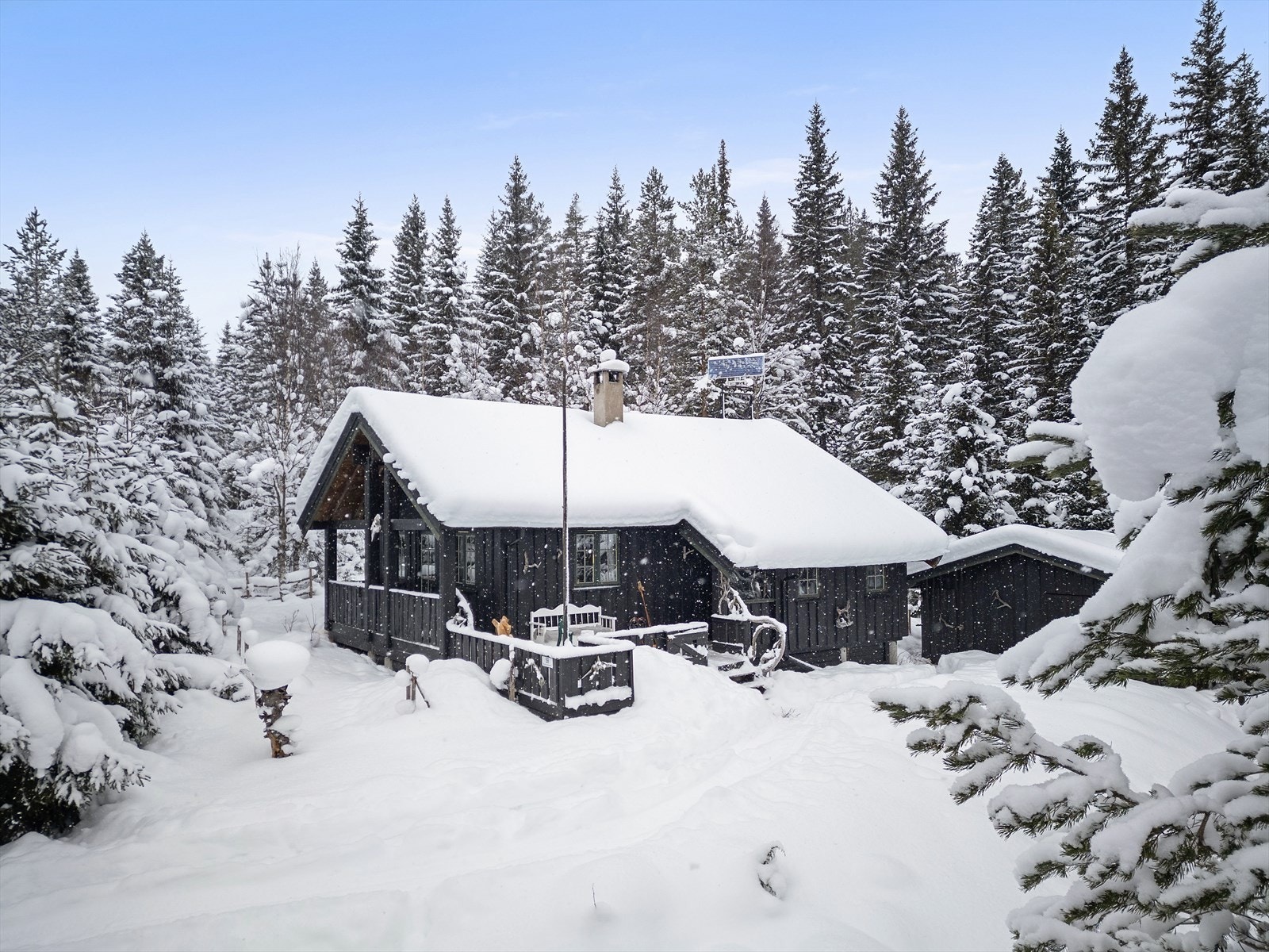 Et ypperlig utgangspunkt for turer i skog og mark, sommer som vinter. Galleribilde