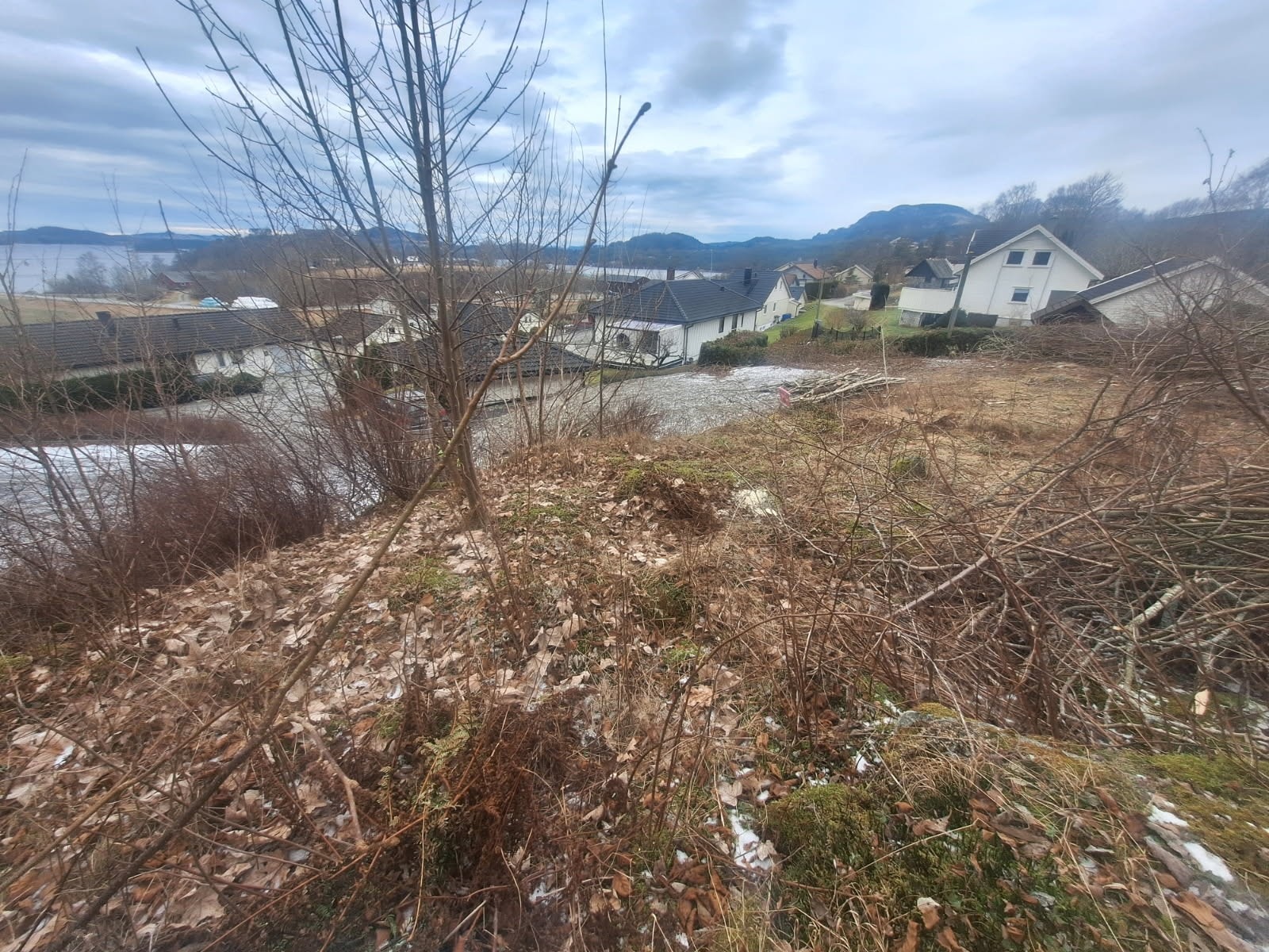 image00000111.JPG Galleribilde