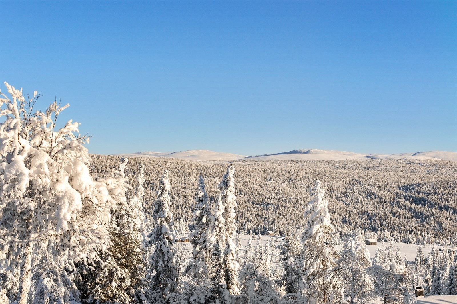 Flott utsikt! Galleribilde