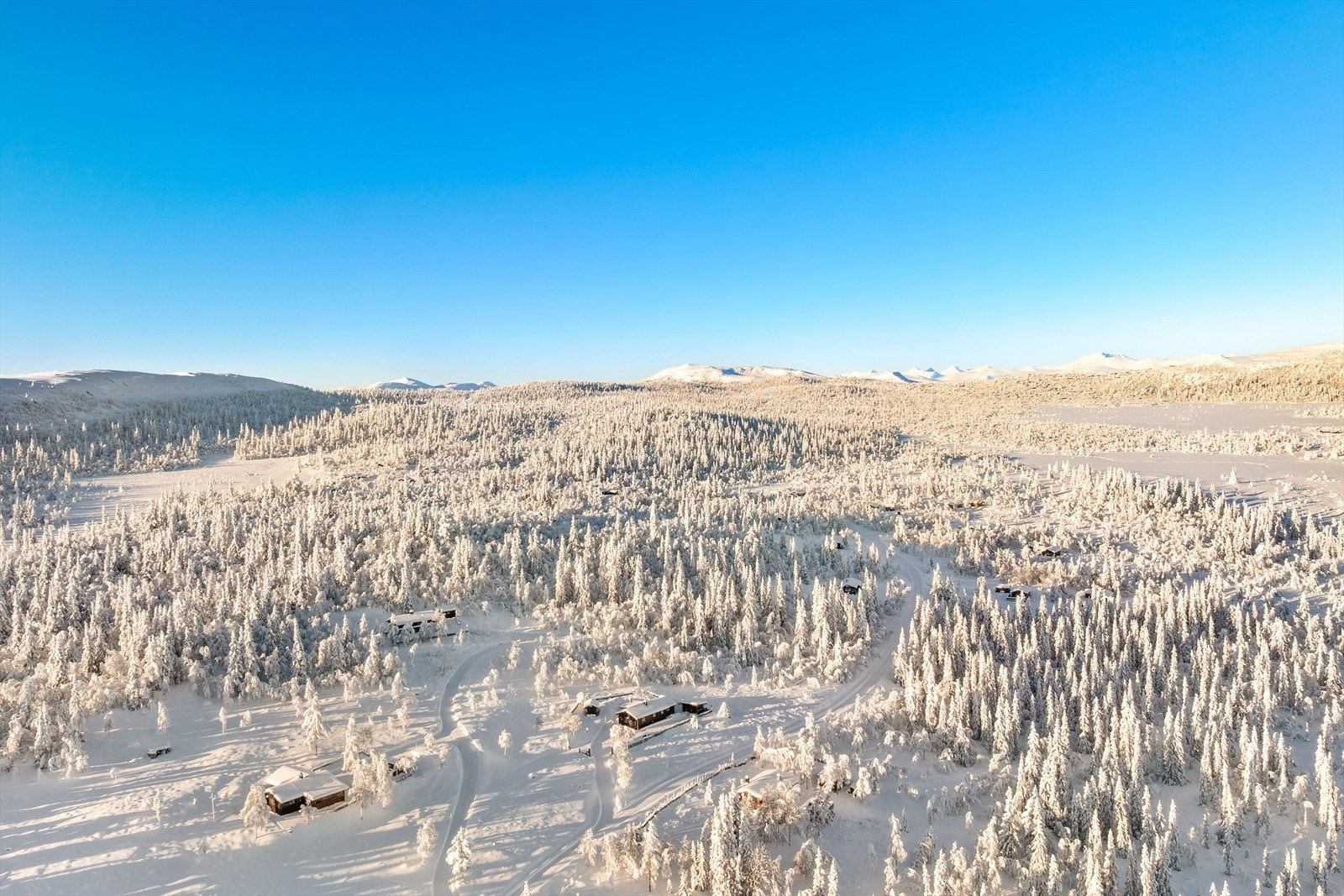Her finnes det mange muligheter for både turer til fots og på sykkel, rideturer og ski. Galleribilde