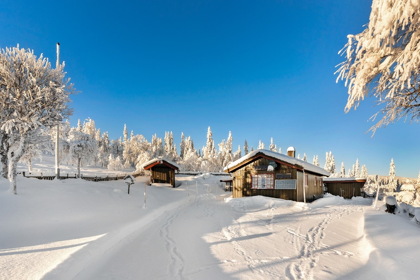 Romslig inngjerdet tomt som er pent opparbeidet Galleribilde