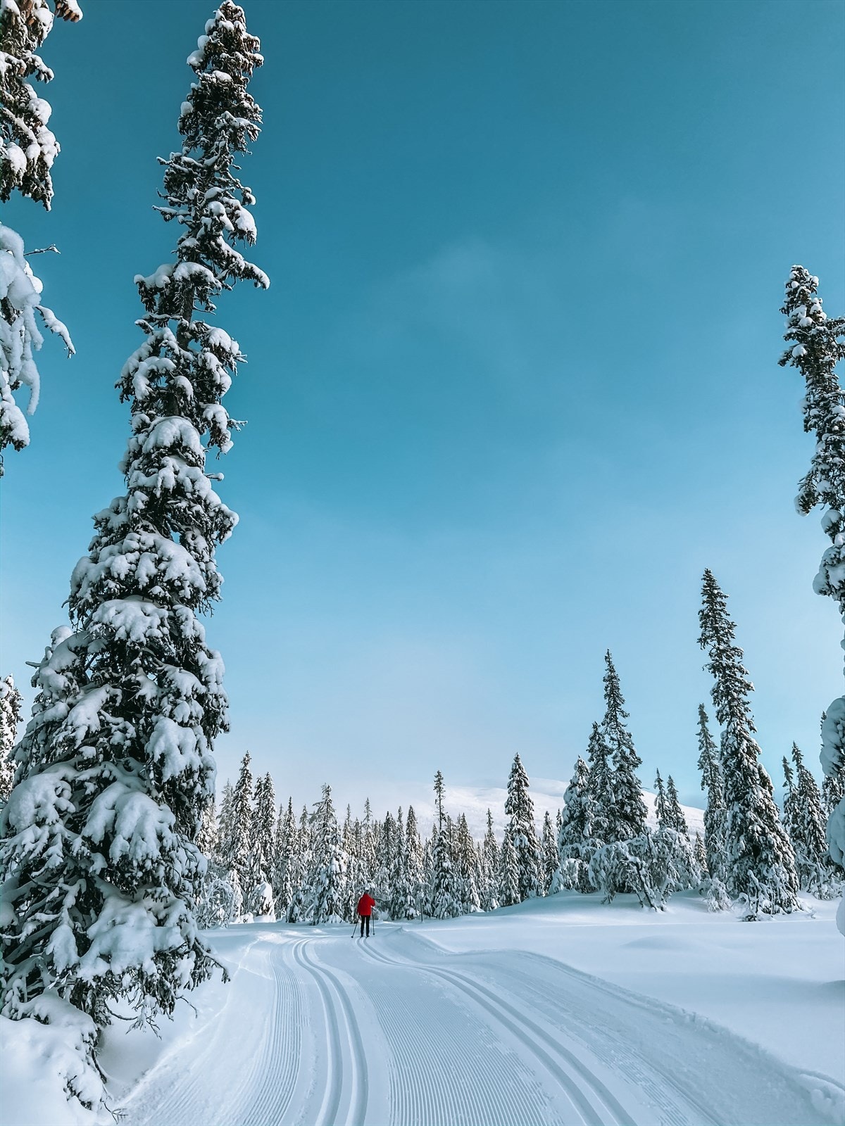 Eventyrløypa kan du gå helt fra Turufjell til Hemsedal Galleribilde