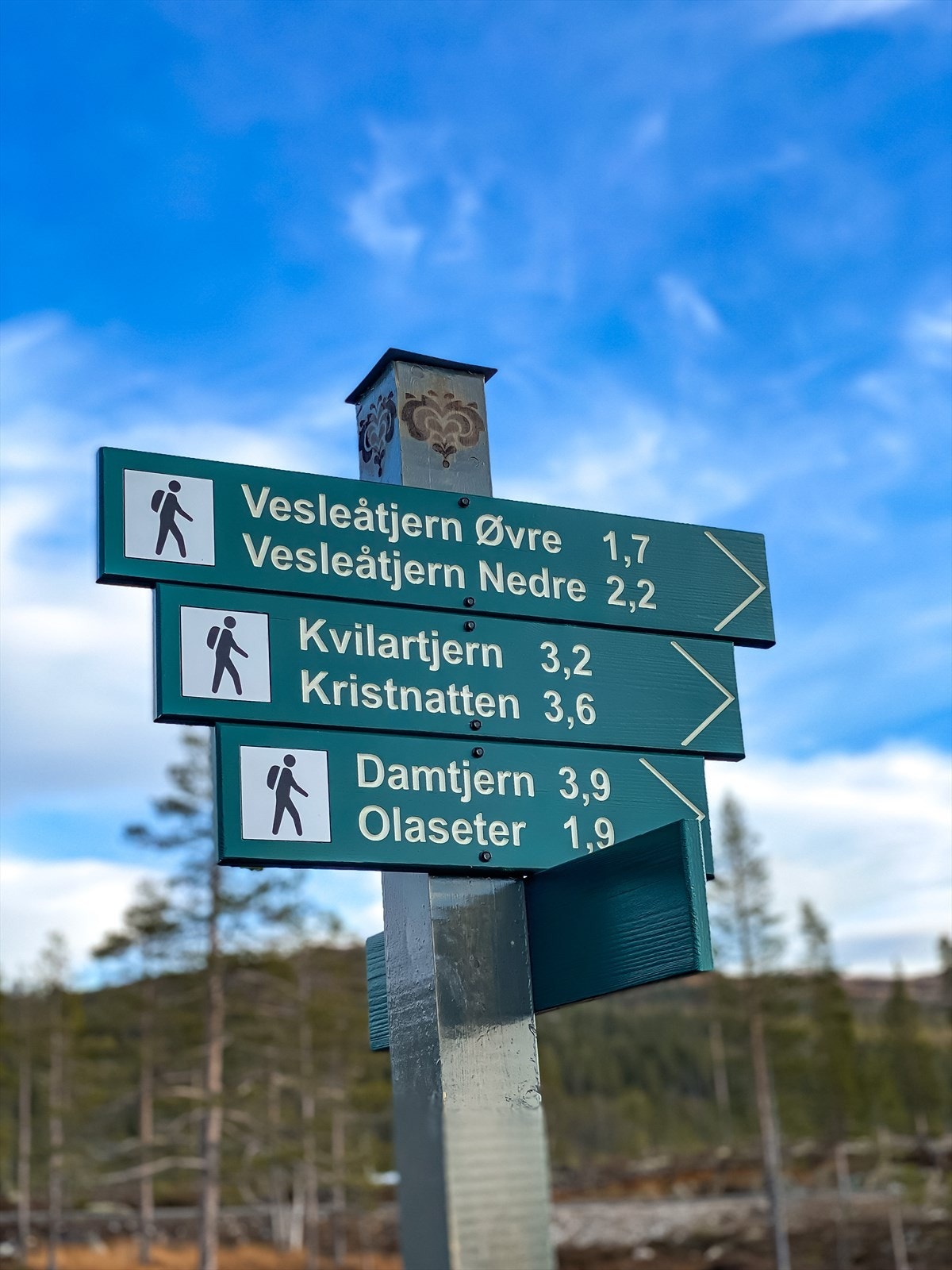 Alltid en tur å oppdage Galleribilde