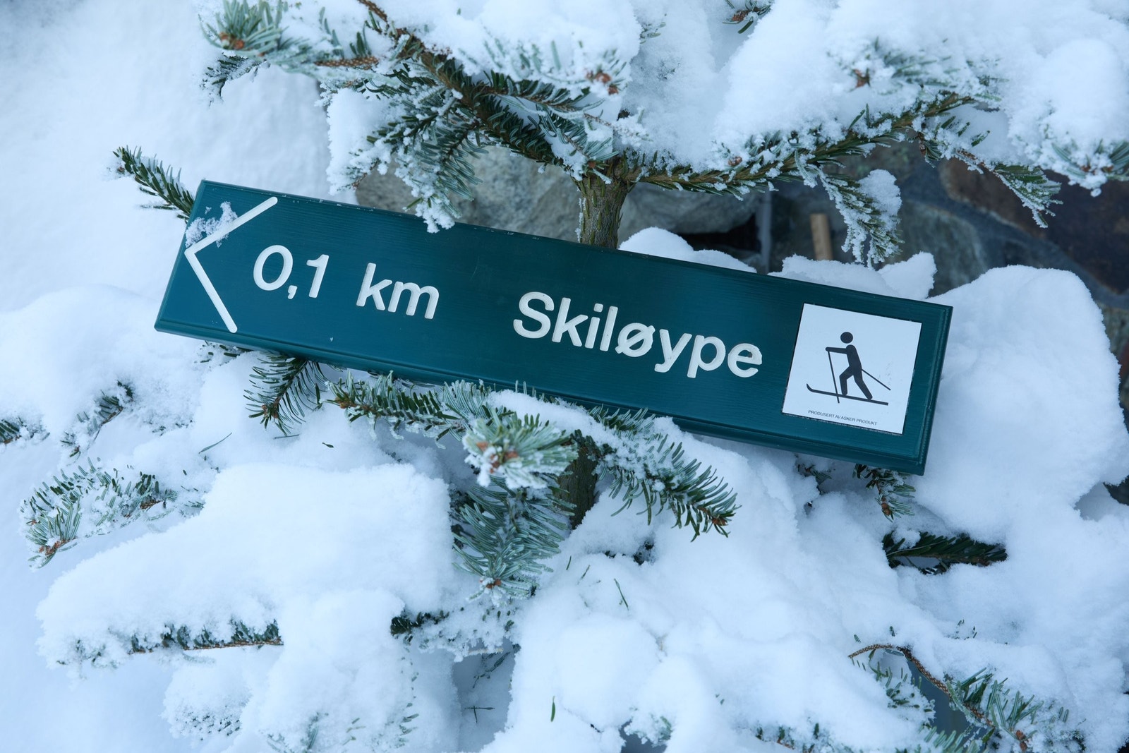 Raskt ut på tur Galleribilde