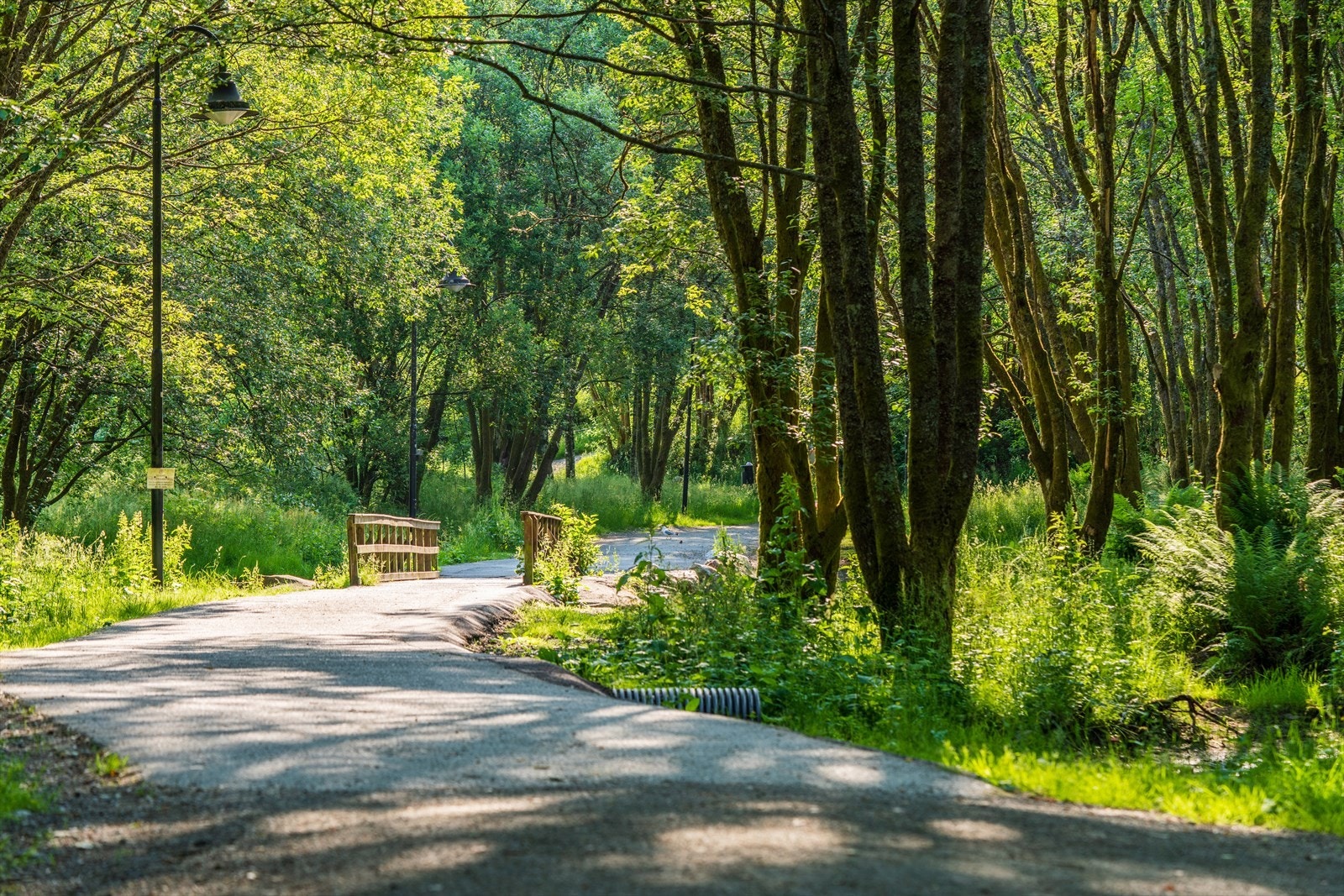 - Ellers kort vei til flere nydelige turmuligheter i nærområdet - Galleribilde