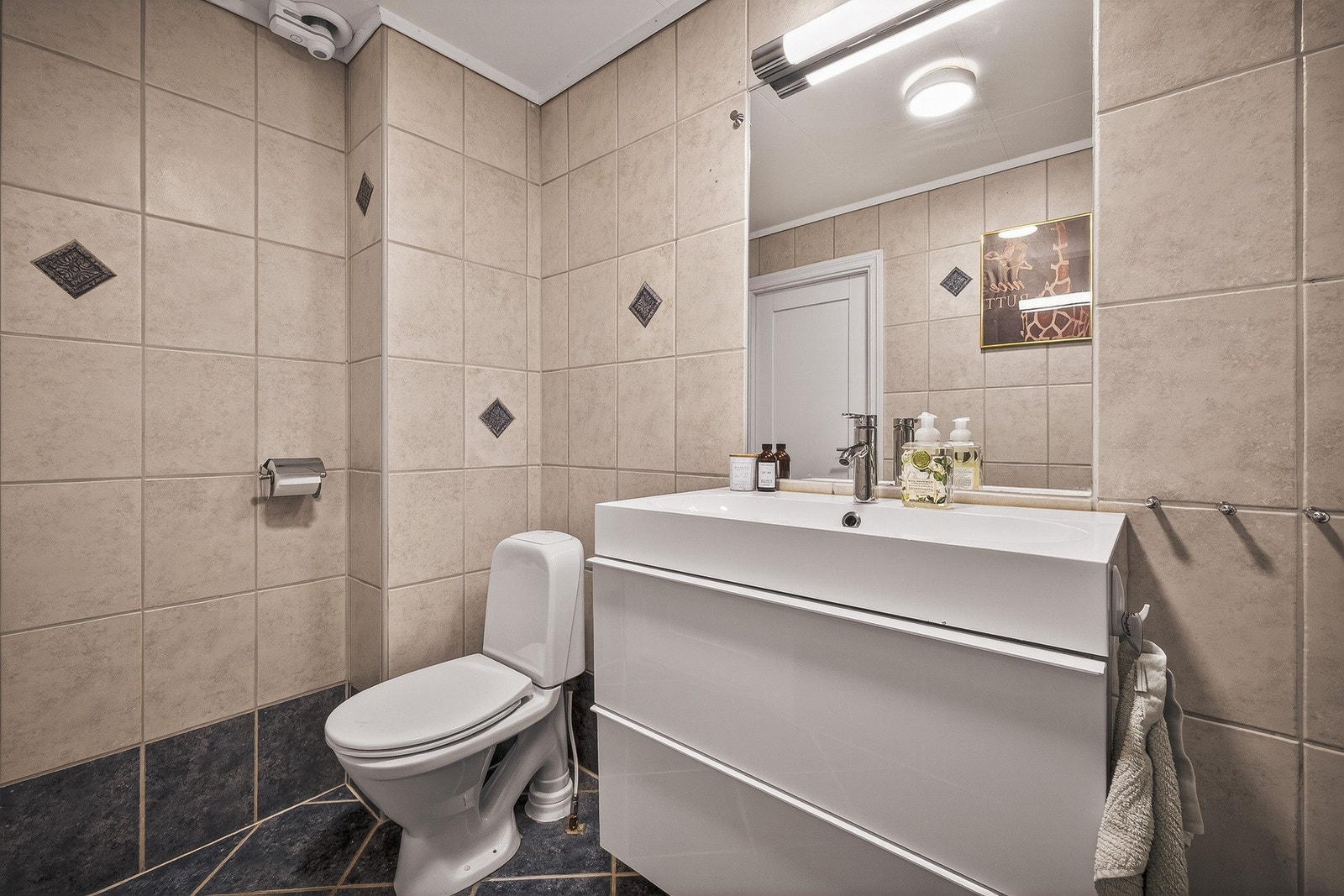 Badet er innredet med toalett, baderomsinnredning med nedfelt servant og dusjkabinett. Galleribilde