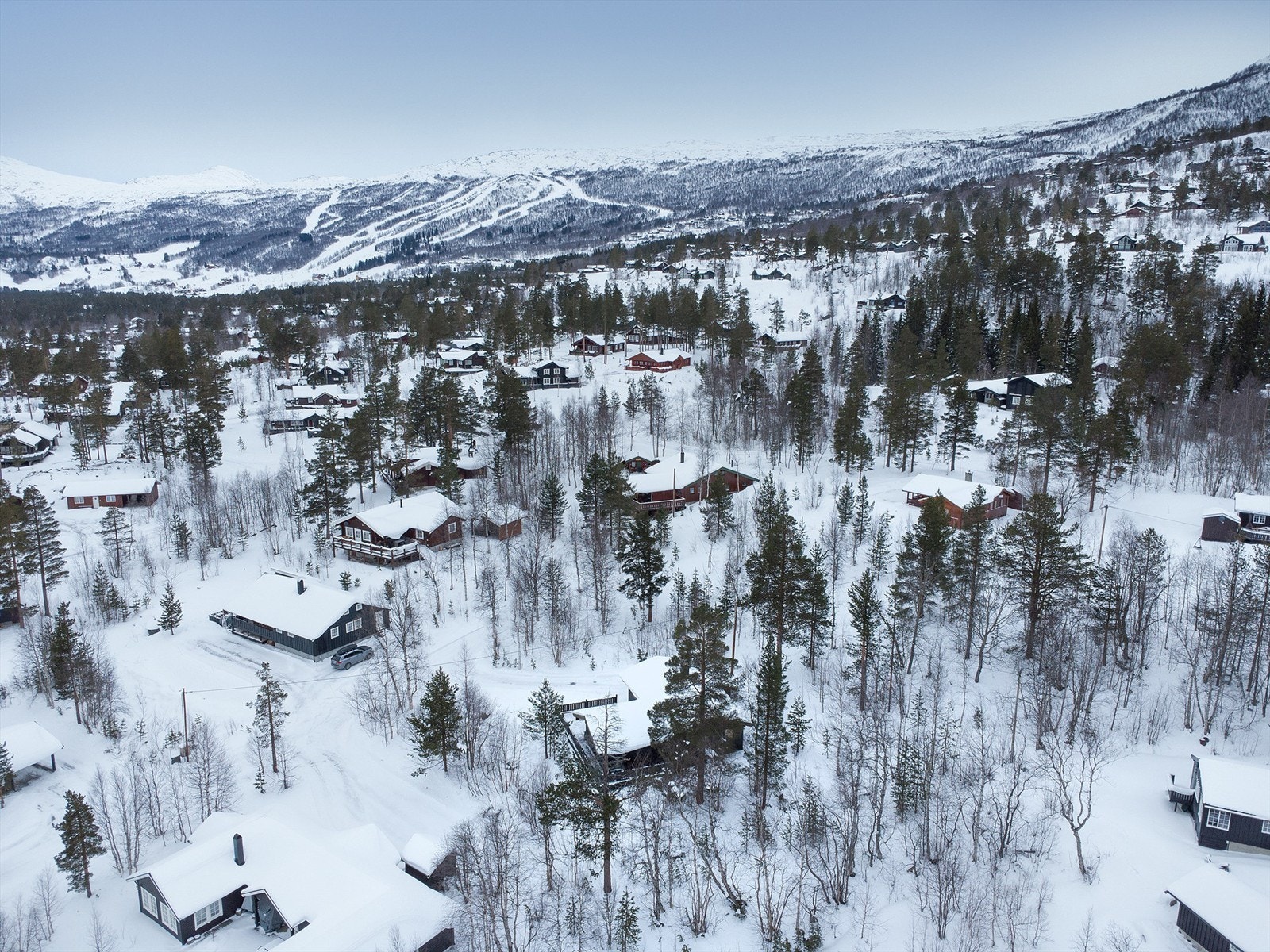 Dronebilde nærområdet Galleribilde