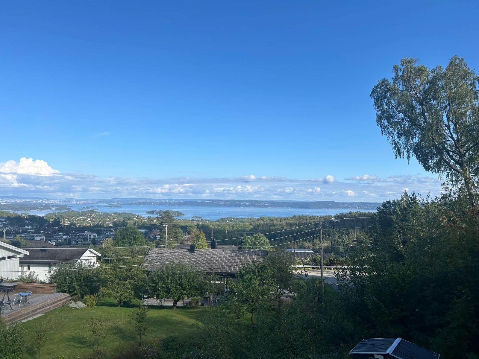 Selgers bilde Galleribilde