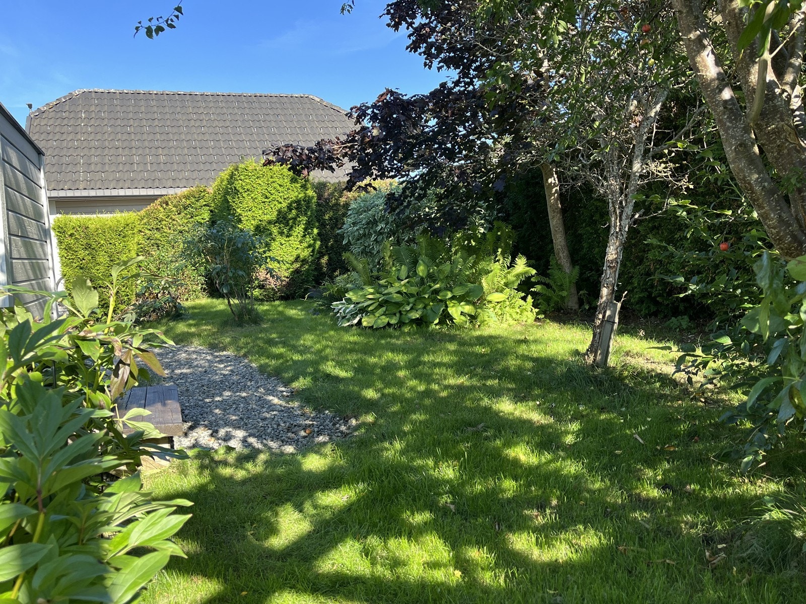 Selgers sommerbilde Galleribilde