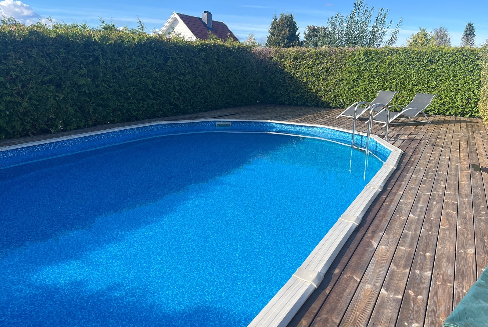Selgers sommerbilde av svømmebassenget Galleribilde