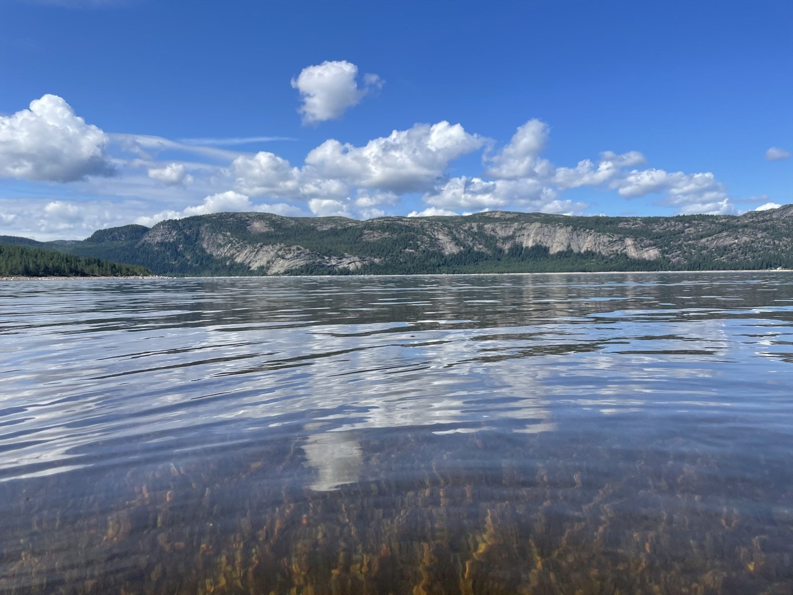 Bilde tatt av selger Galleribilde