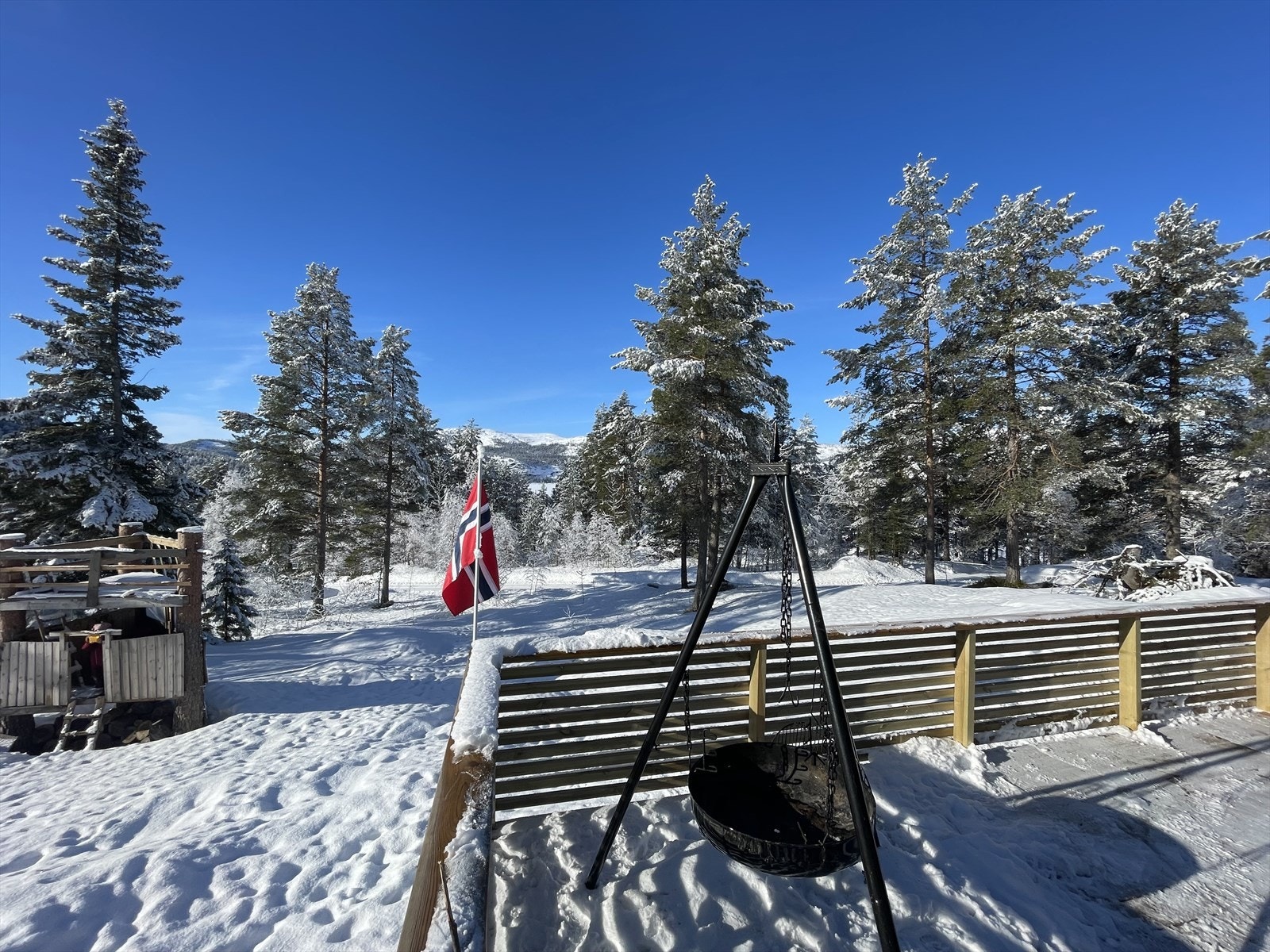 Bilde tatt av selger Galleribilde