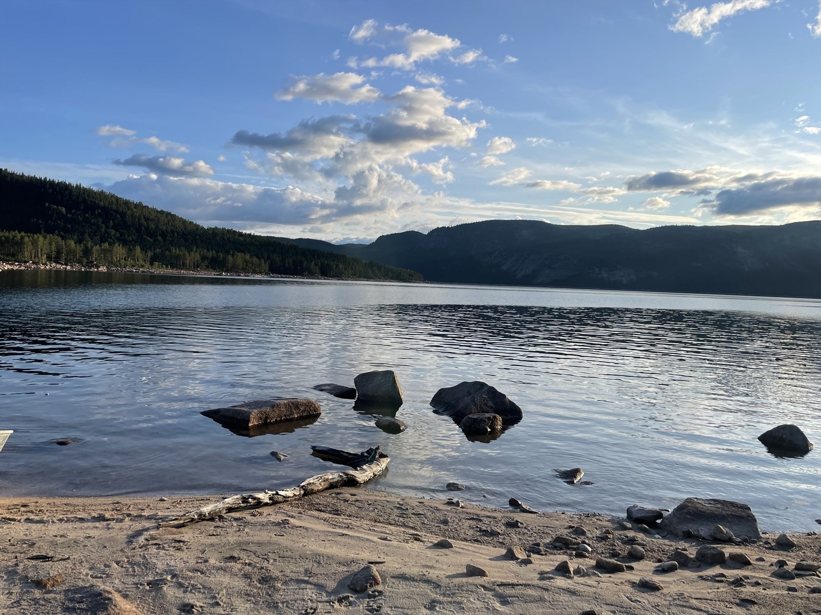 Bilde tatt av selger Galleribilde