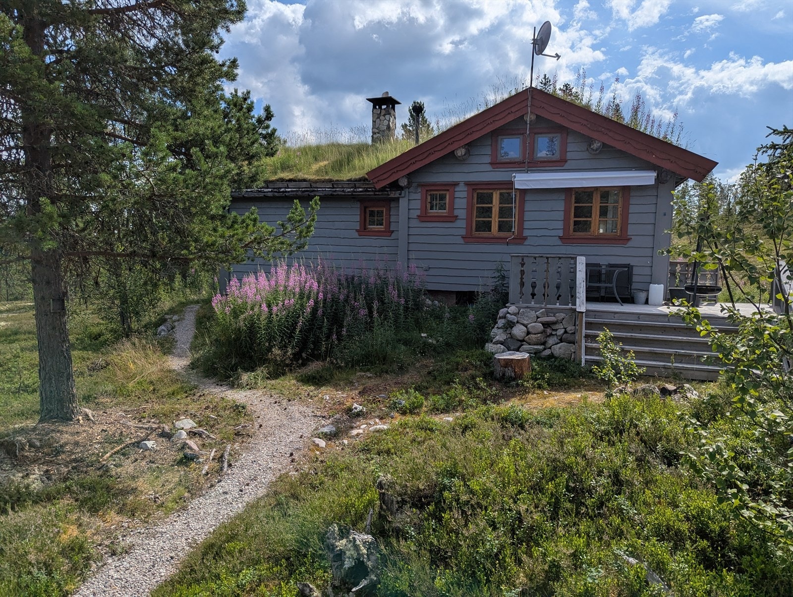 Tomten er en naturtomt med stedegen vegetasjon som lyng og fjellbjørk. Selgers foto. Galleribilde