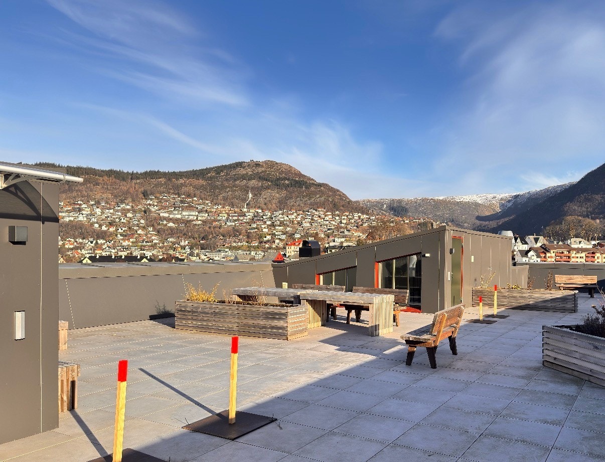 Felles takterrasse. Galleribilde