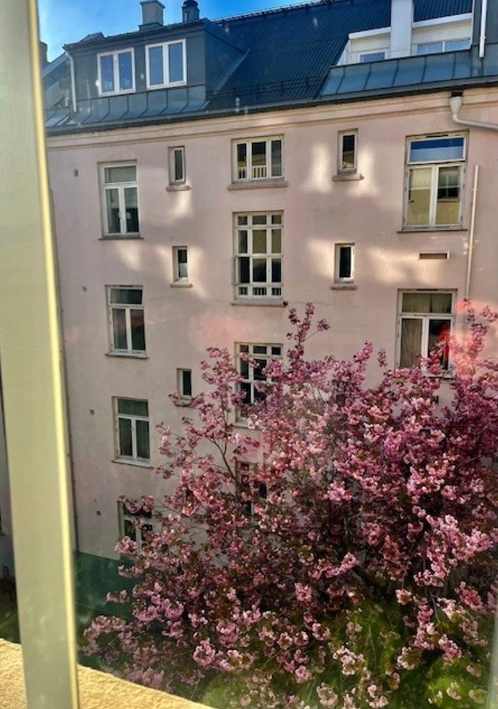 Usikt fra kjøkken Galleribilde