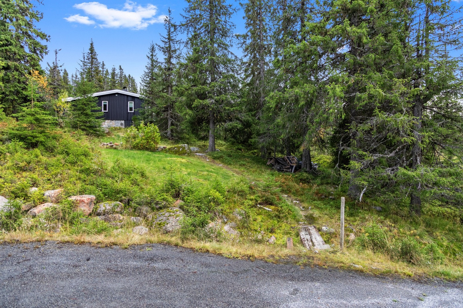 Parkering langs vei Galleribilde