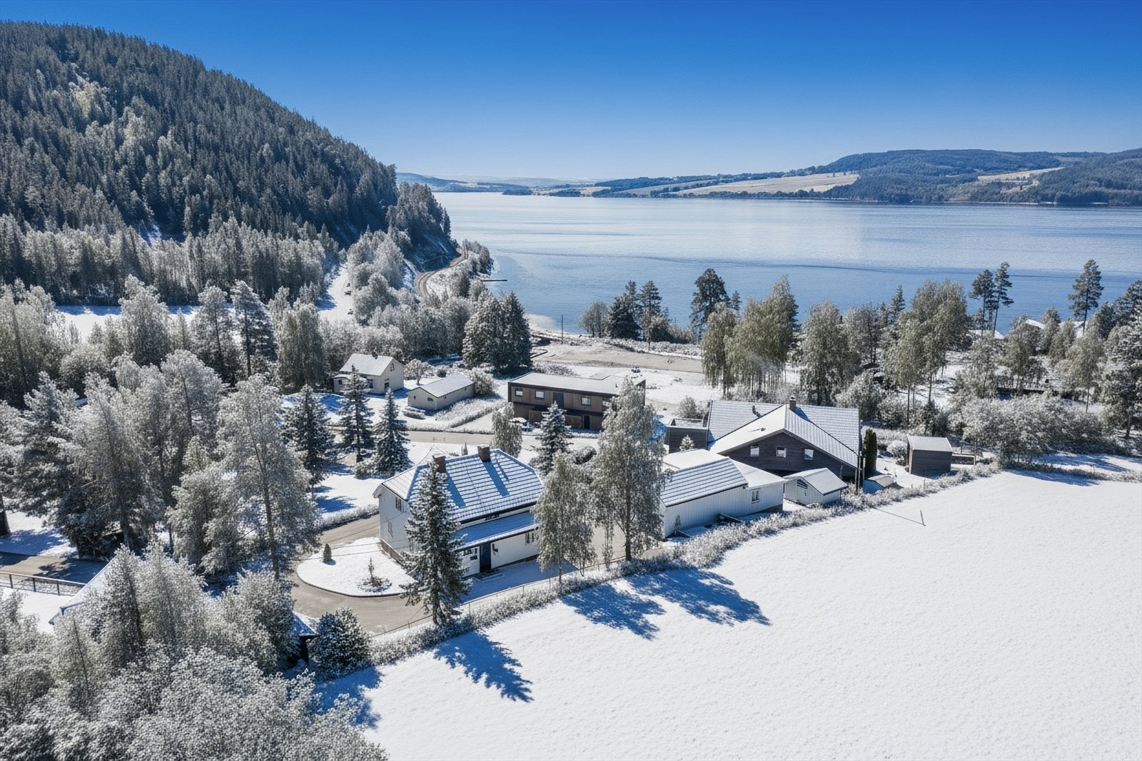 Miljøet rundt. Galleribilde