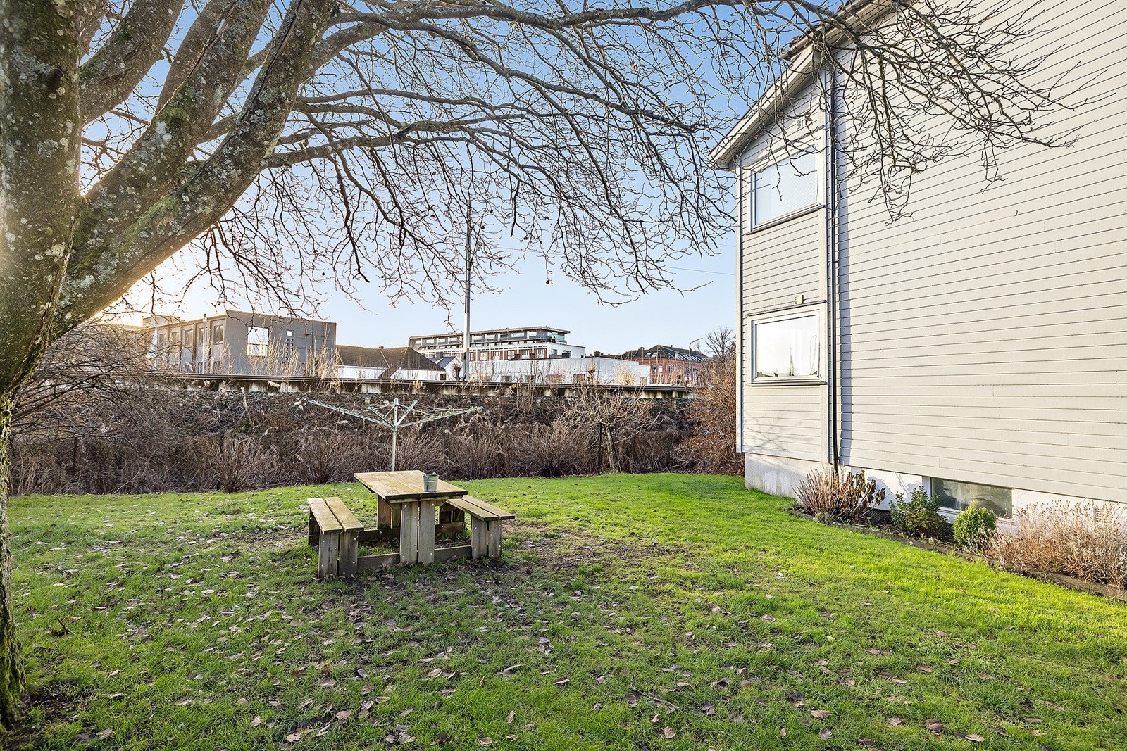 Felles hage Galleribilde